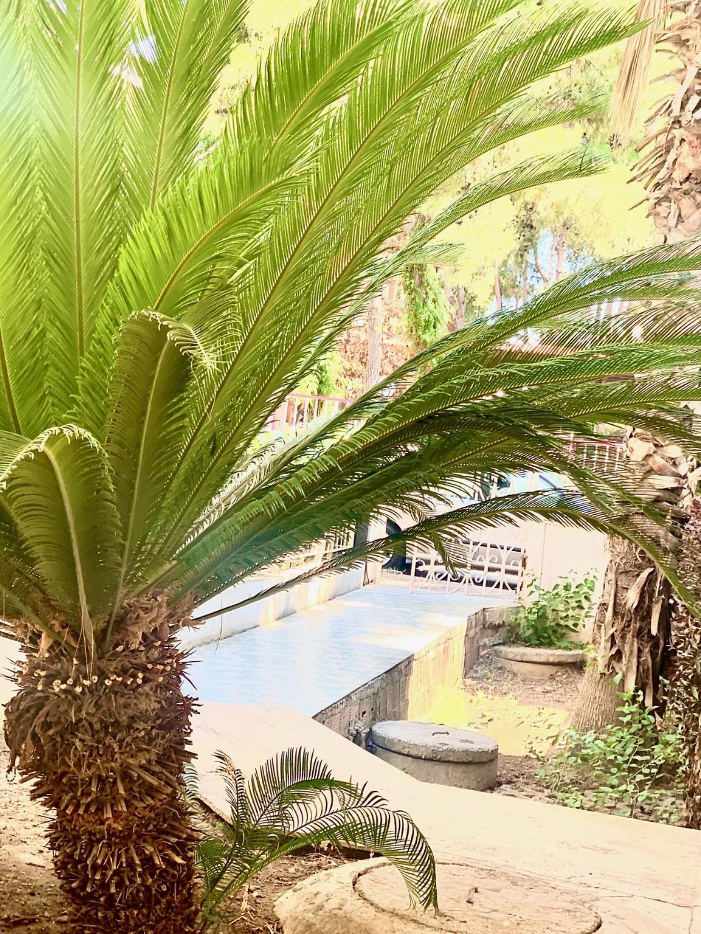 Fewo-antalya Appartments Daire *